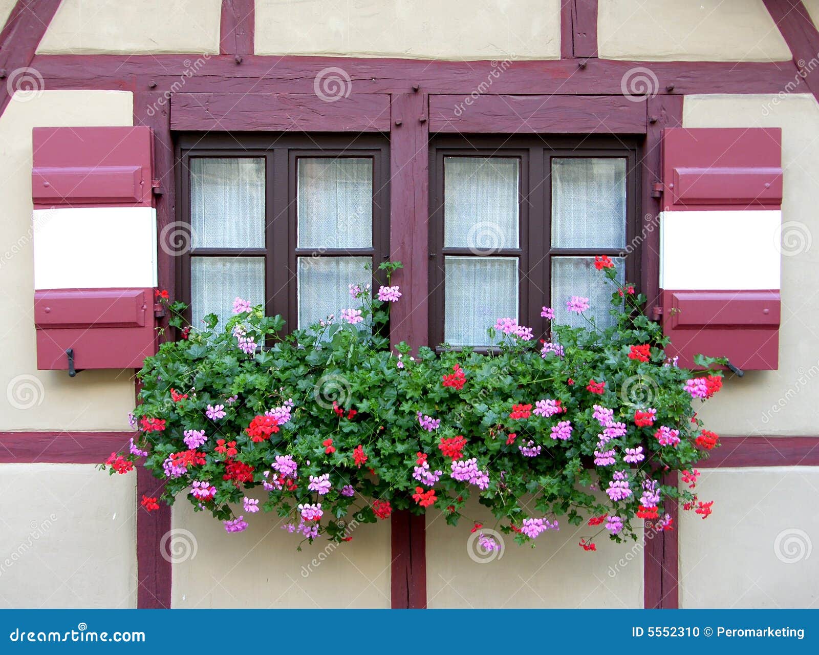 Flowers at windows stock photo. Image of colors, architecture 5552310