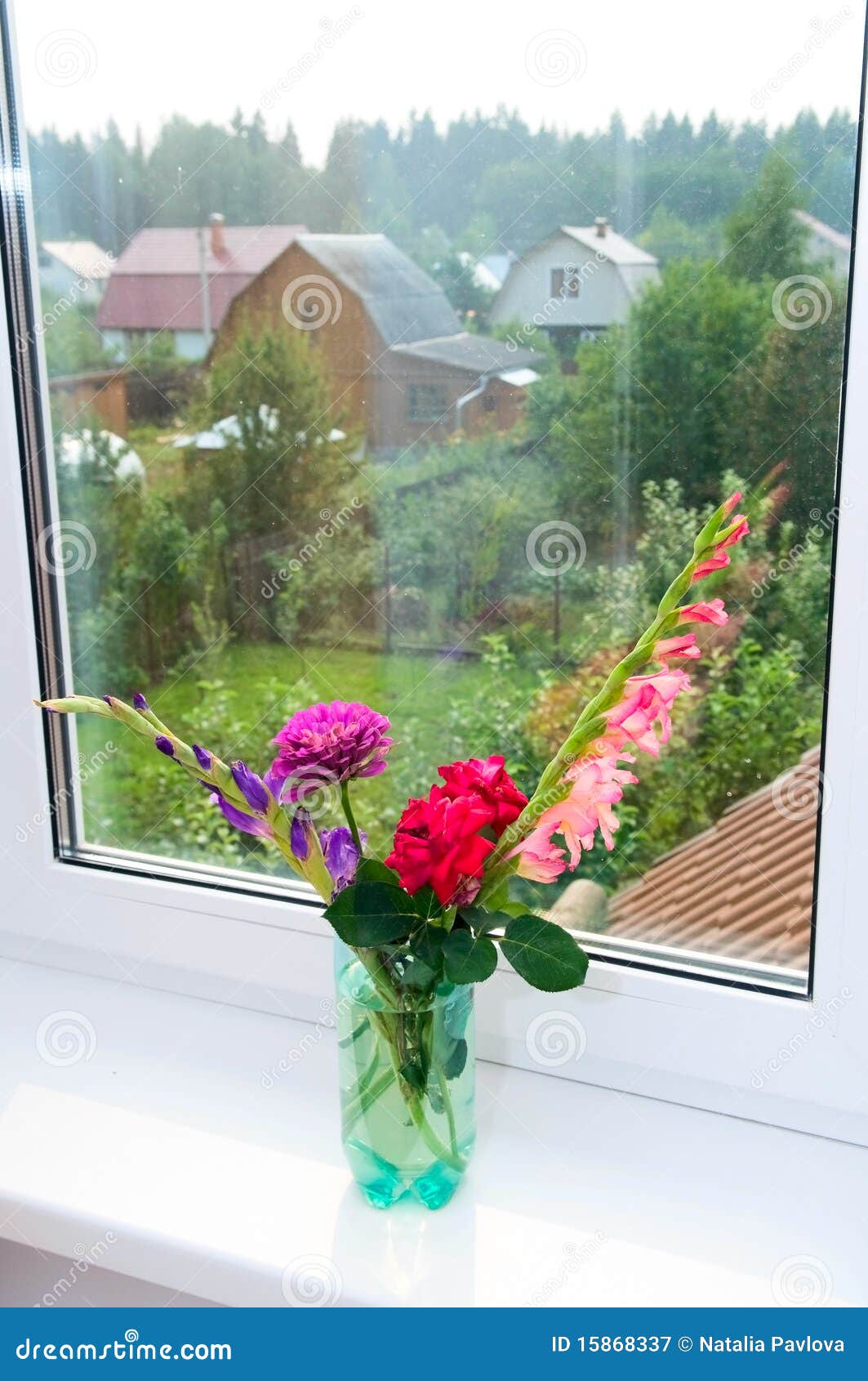 Flowers on windowsill stock image. Image of pink, window 15868337