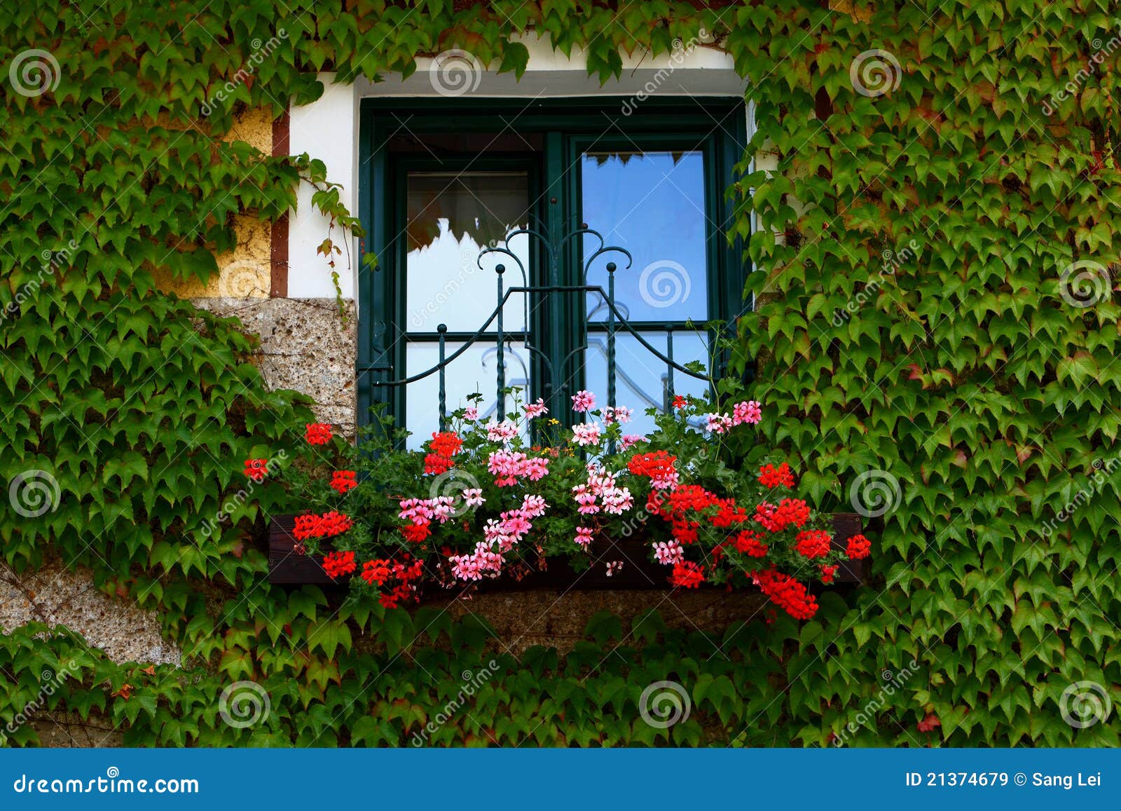 Flowers On Windowsill Royalty Free Stock Images Image 21374679