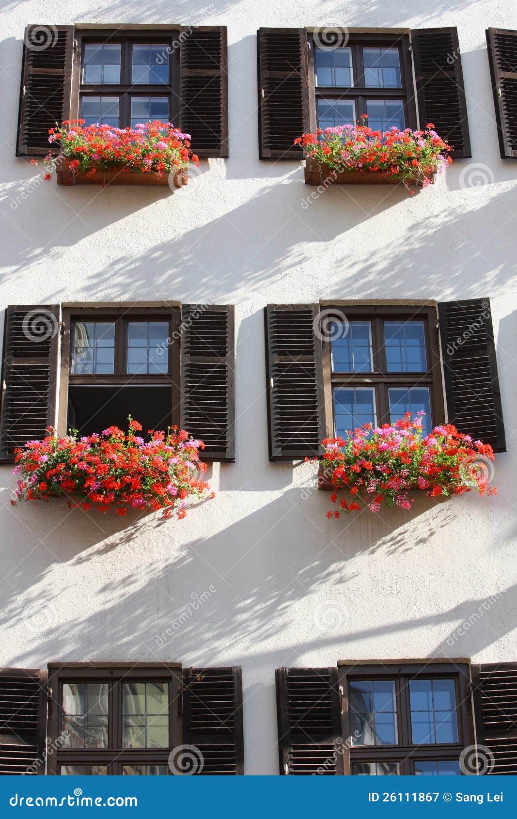 Flowers on the windowsill stock image. Image of buildings 26111867
