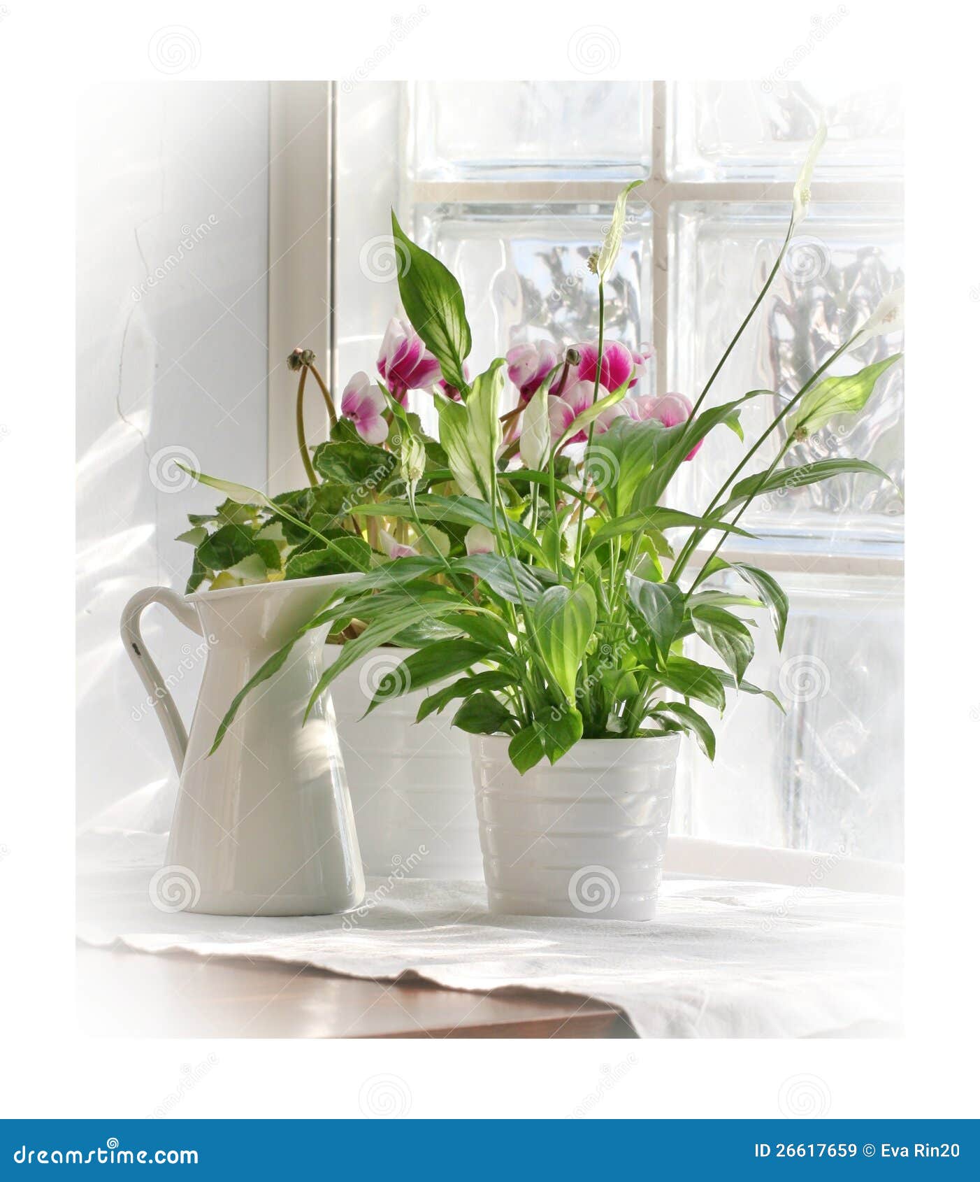 Flowers on windowsill stock image. Image of gardening 26617659