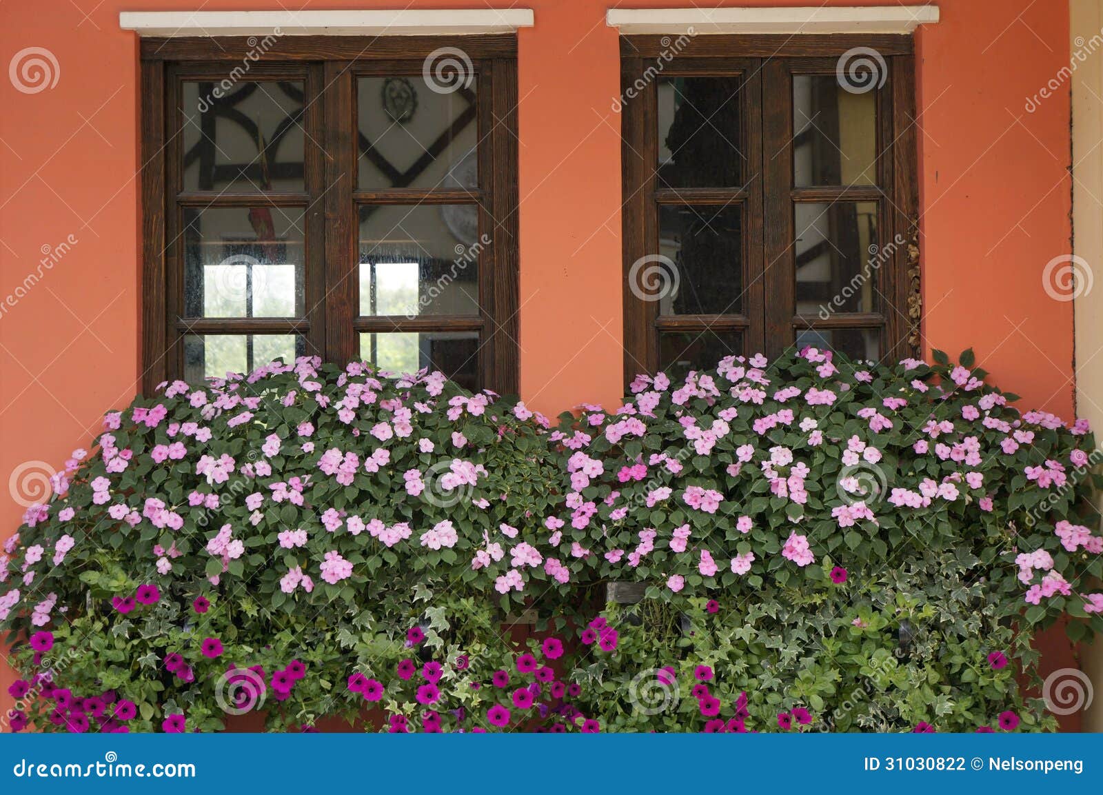 Flowers on windowsill stock photo. Image of wooden, window 31030822
