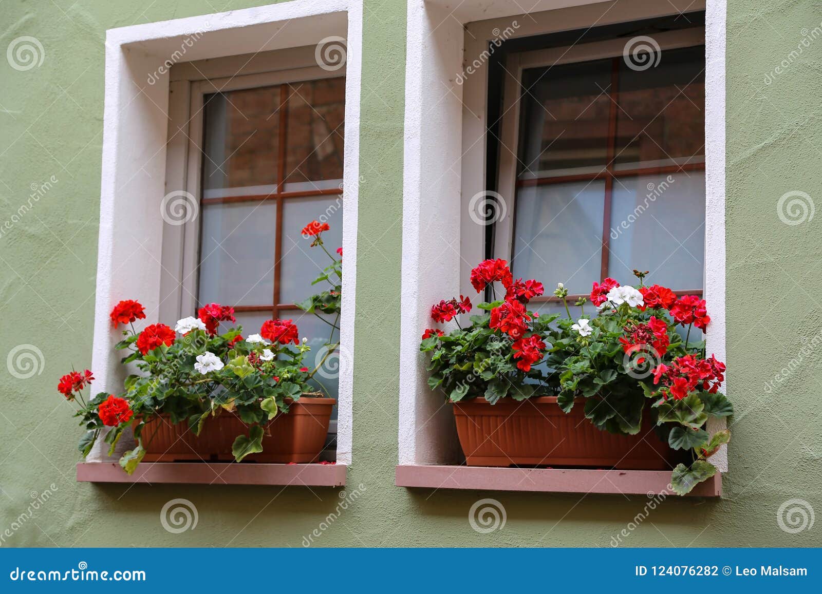 Flowers on the windowsill stock photo. Image of leaf 124076282