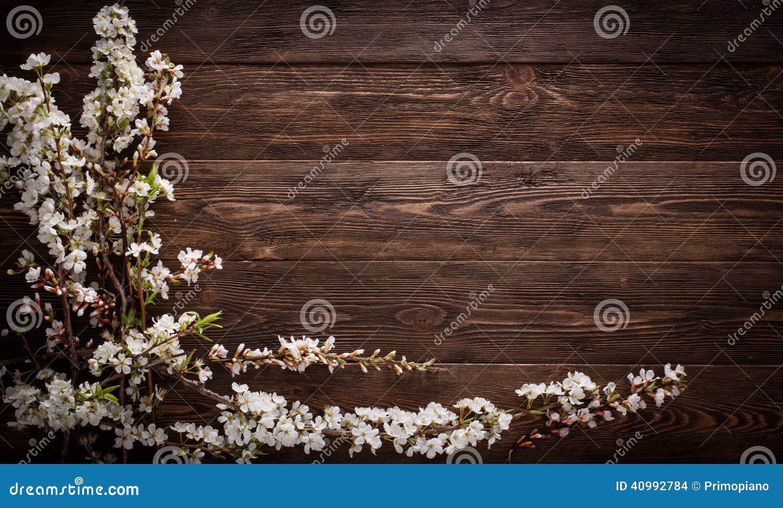 Flowers On Wood Texture Background Stock Photo Image of pattern