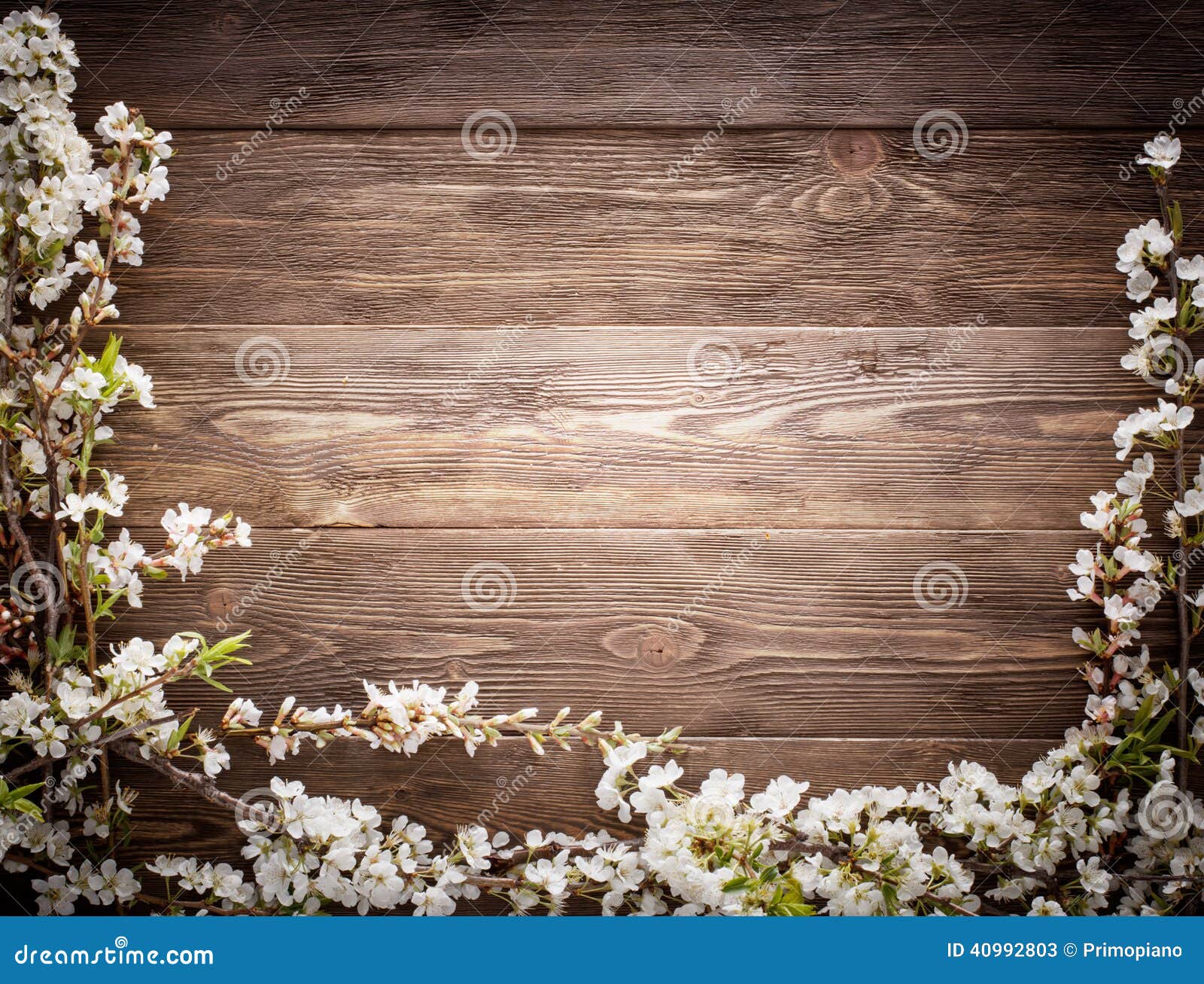 Flowers On Wood Texture Background Stock Image Image of flooring
