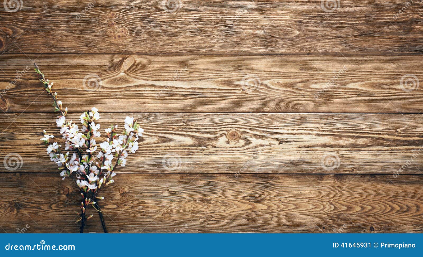 Flowers On Wood Texture Background Stock Image Image of organic
