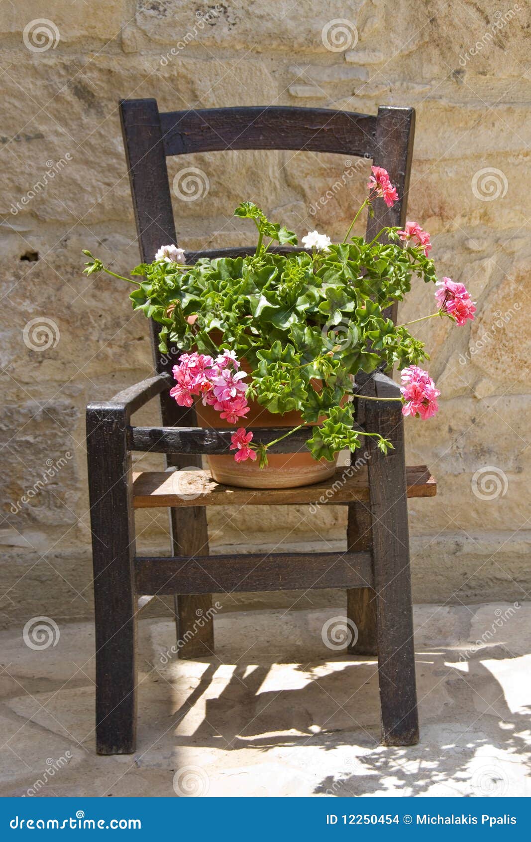 Flowers on a wooden chair stock photo. Image of cyprus 12250454