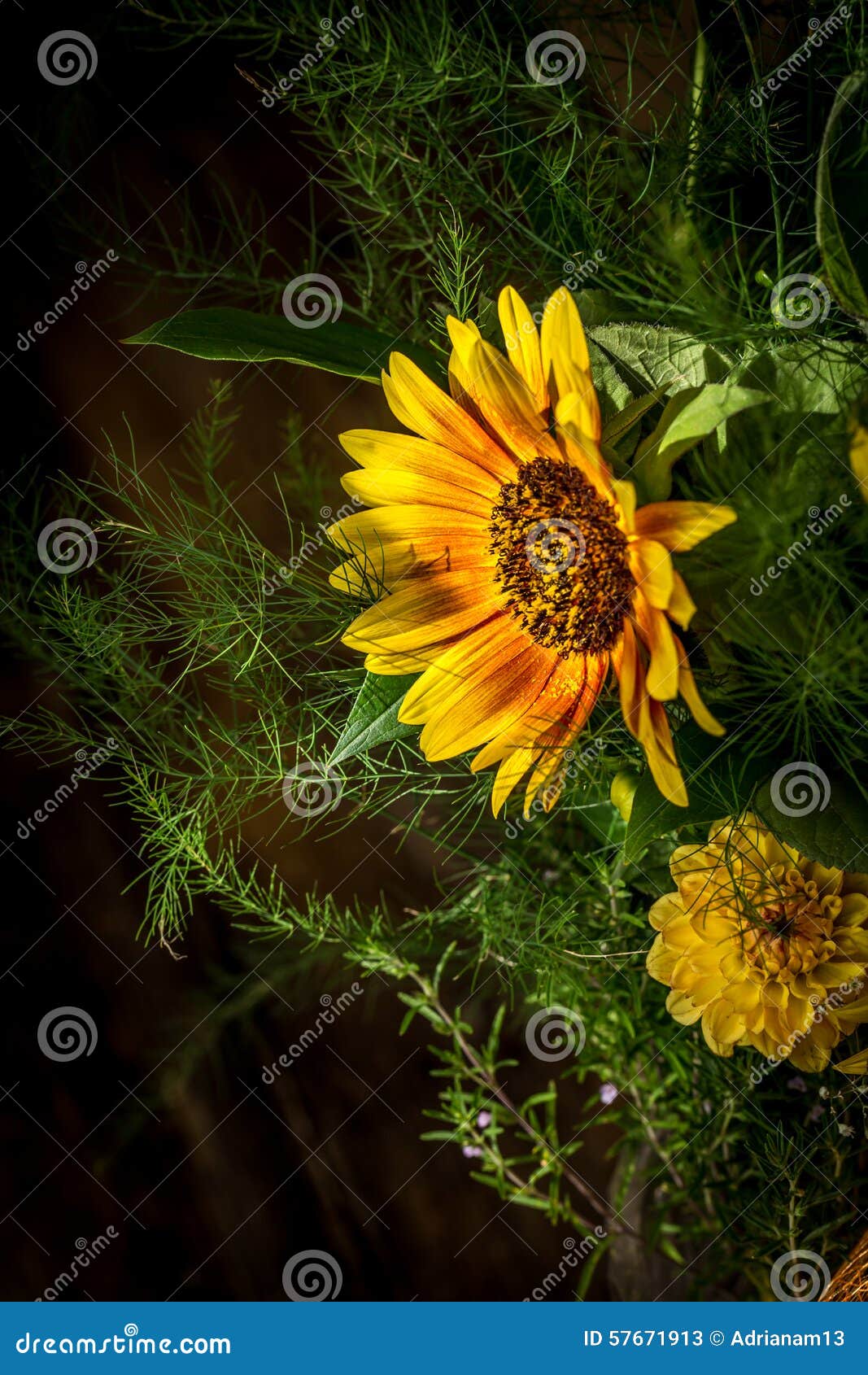 Flowers That Are Yellow And Red at Jammie Barnes blog