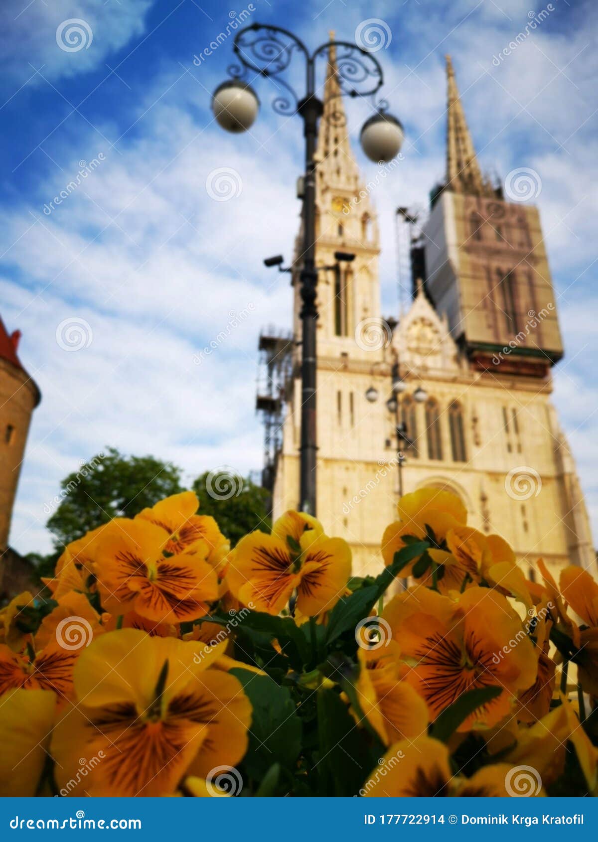 Flowers with Zagreb Cathedral Stock Photo Image of zagreb, flowers