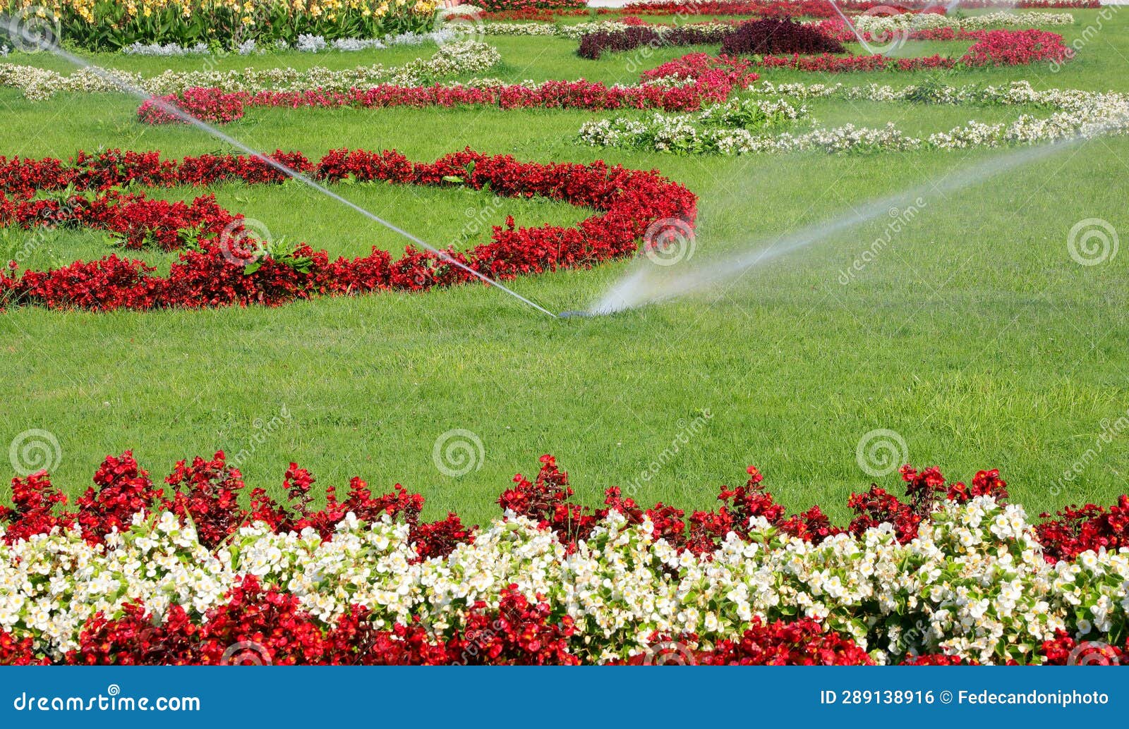 Flowery Garden with Automatic Irrigation System in Operation during the
