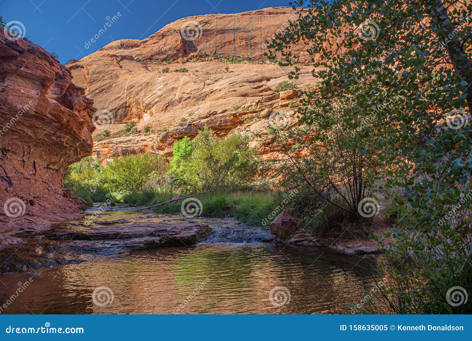 Flowing Stream at Grandstaff Canyon Trail, Moab, Utah Stock Image