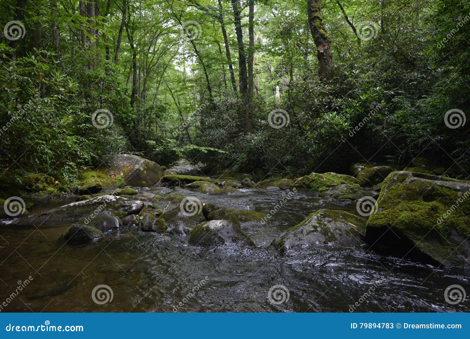 Flows stock image. Image of north, river, flows, mountains 79894783