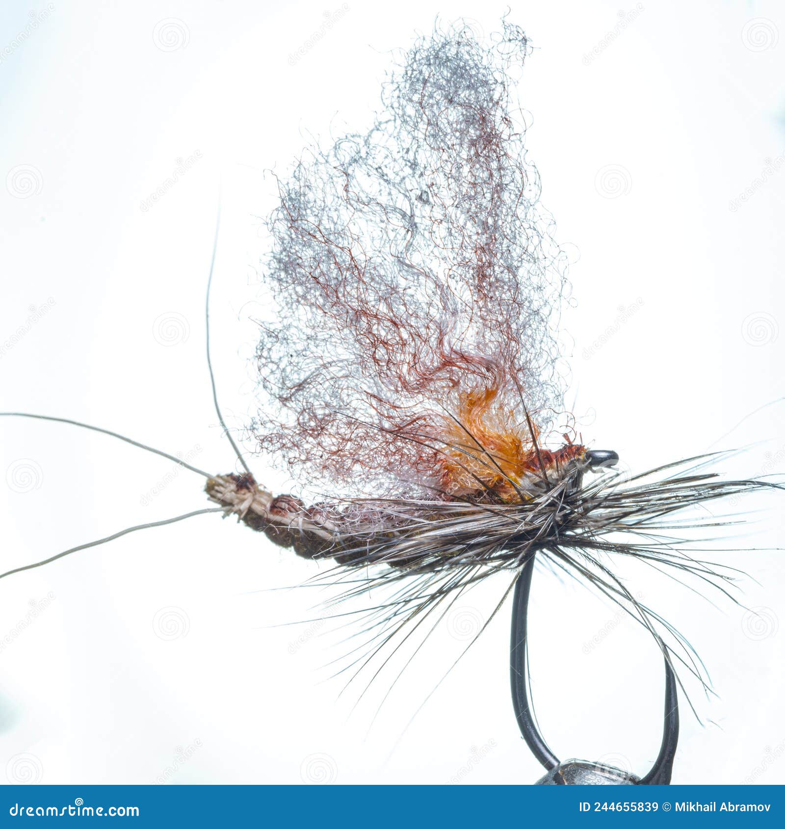 Fluffy Artificial Fly, Mayfly Imitation. Fly Fishing Stock Image