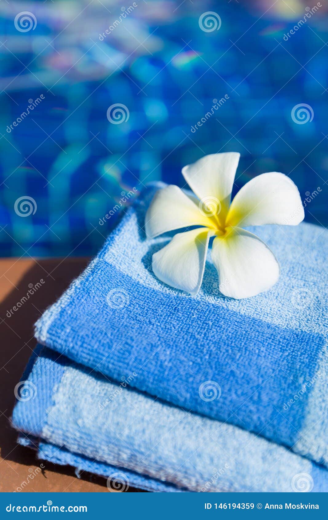Fluffy Blue Towel with Plumeria Frangipani Flower on Border of a ...