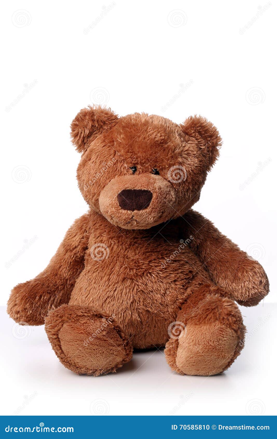 Fluffy Brown Teddy Bear Isolated on White Background Stock Photo