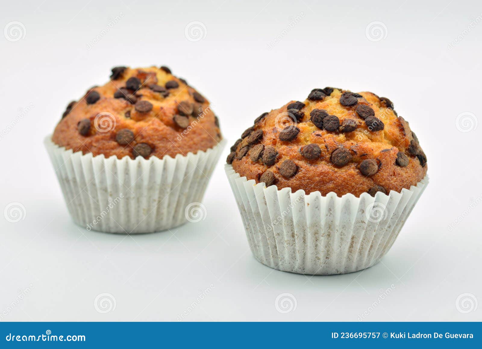 fluffy chocolate chip muffins