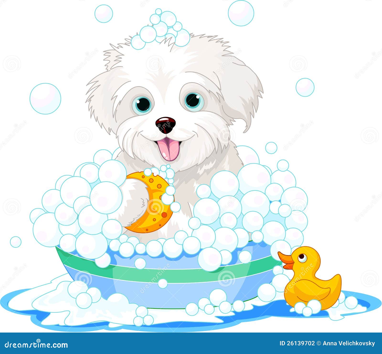fluffy dog having a bath