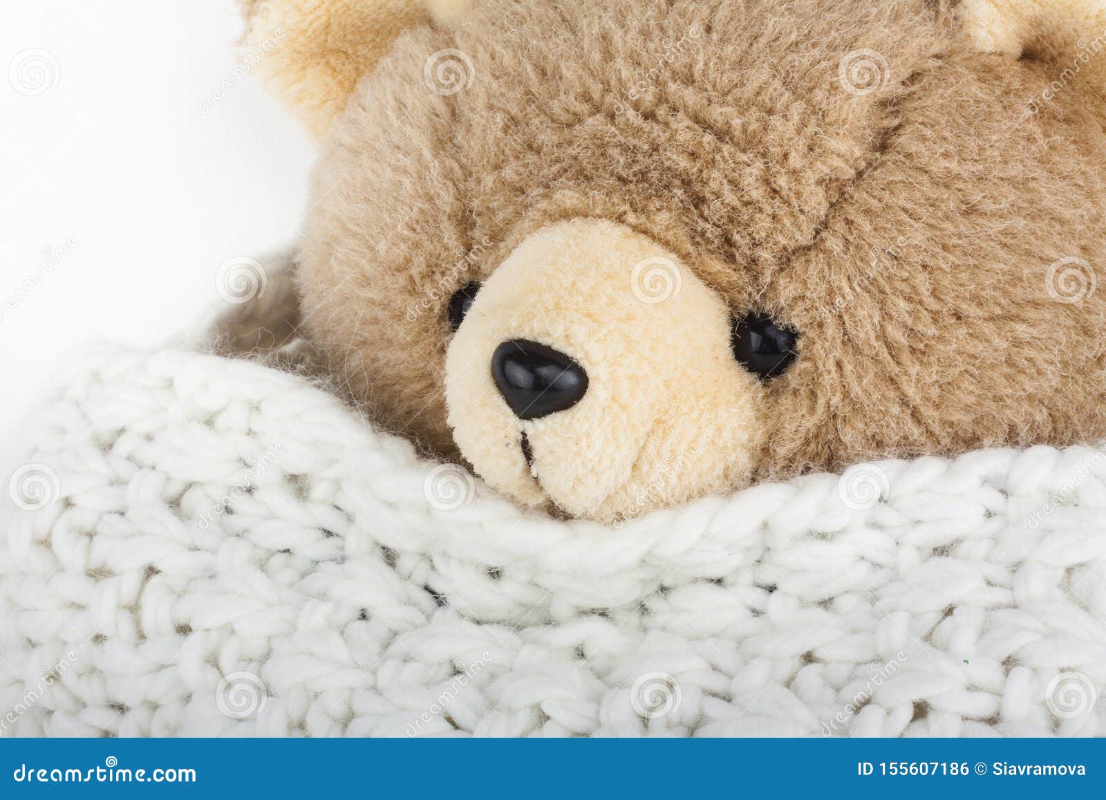 Teddy Bear with Winter Wool Scarf Stock Photo Image of happy, bears 155607186