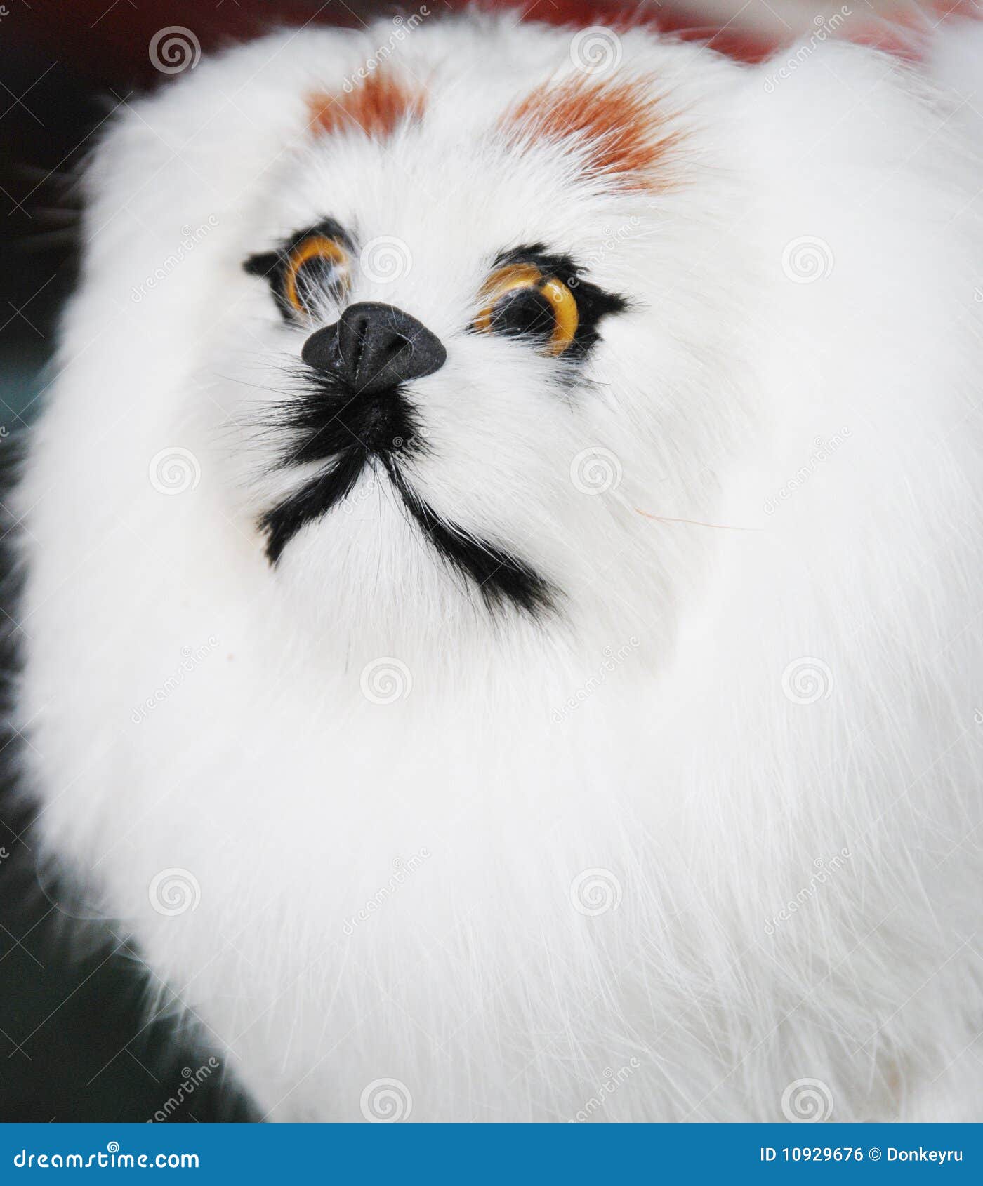 cute white furry puppies