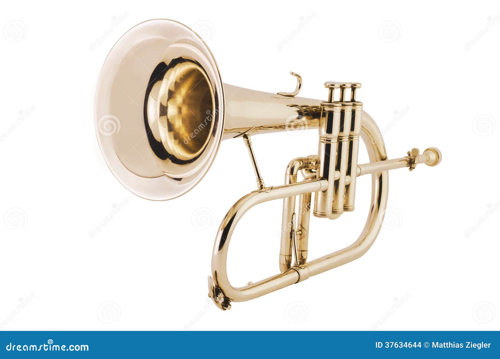 Flugelhorn on White Background Stock Photo Image of yellow, classical