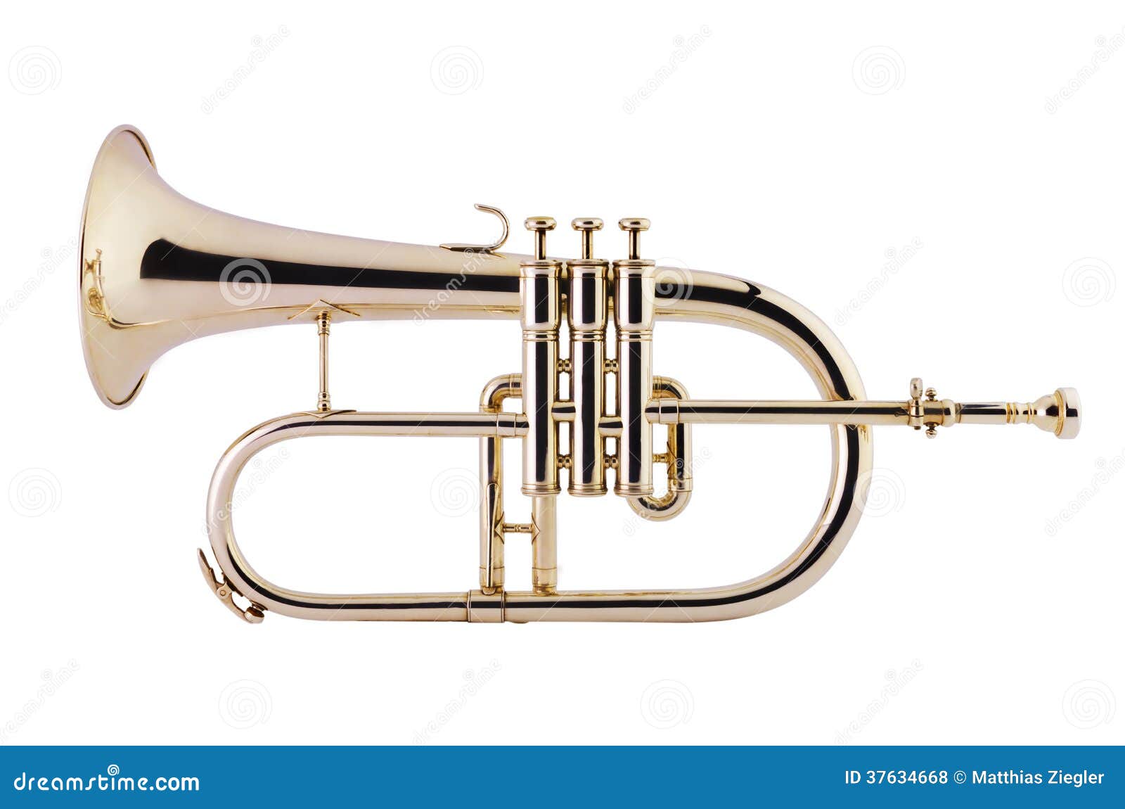 Flugelhorn on White Background Stock Photo Image of metal, instrument