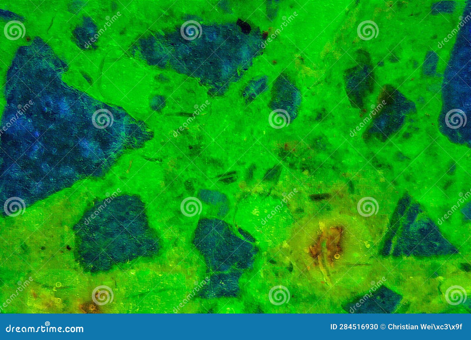 Fluorescence Microscope Image Of Cells Undergoing Mitosis Royalty Biology Diagrams