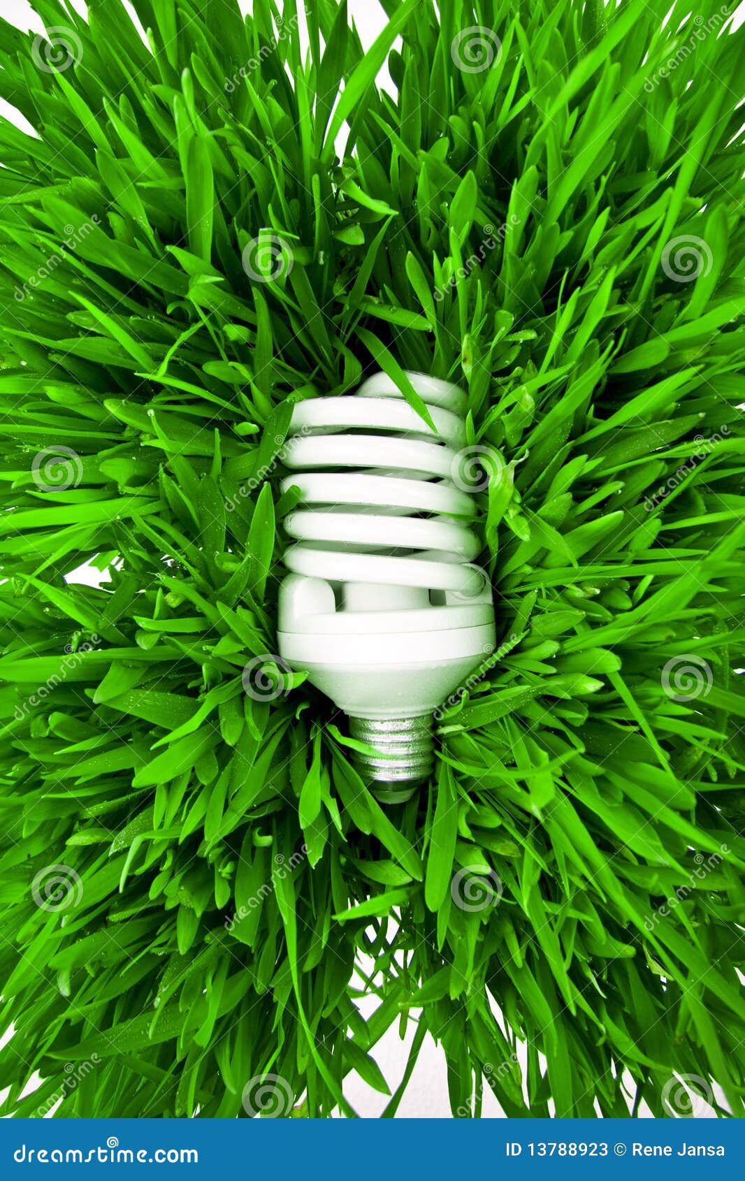 Fluorescent Lightbulb on Grass Stock Image Image of lightbulb