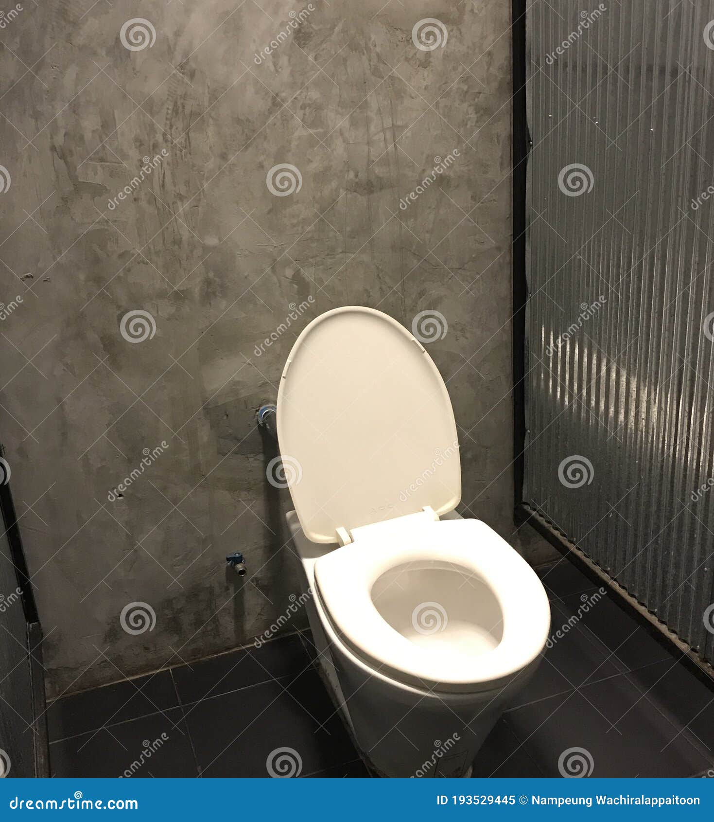 Bekræfte Lappe usund Flush toilet stock image. Image of zinc, clean, wall - 193529445