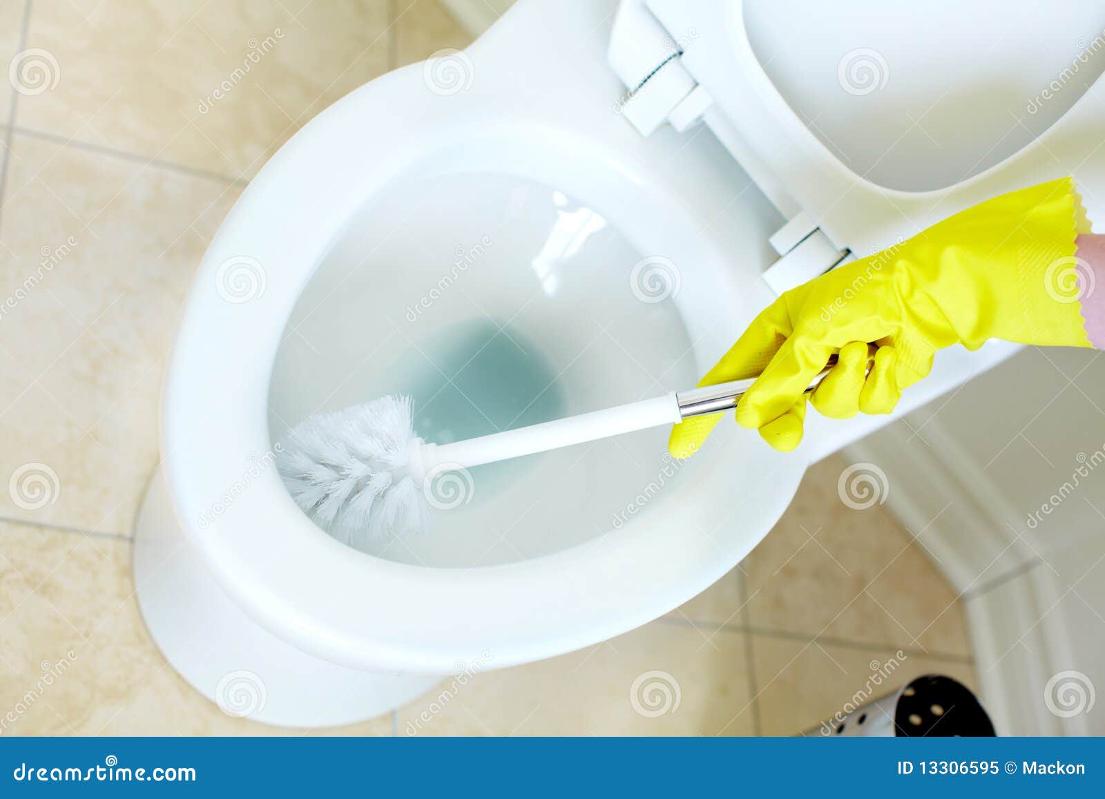 Flush toilet. Cleaning stock image. Image of interior 13306595