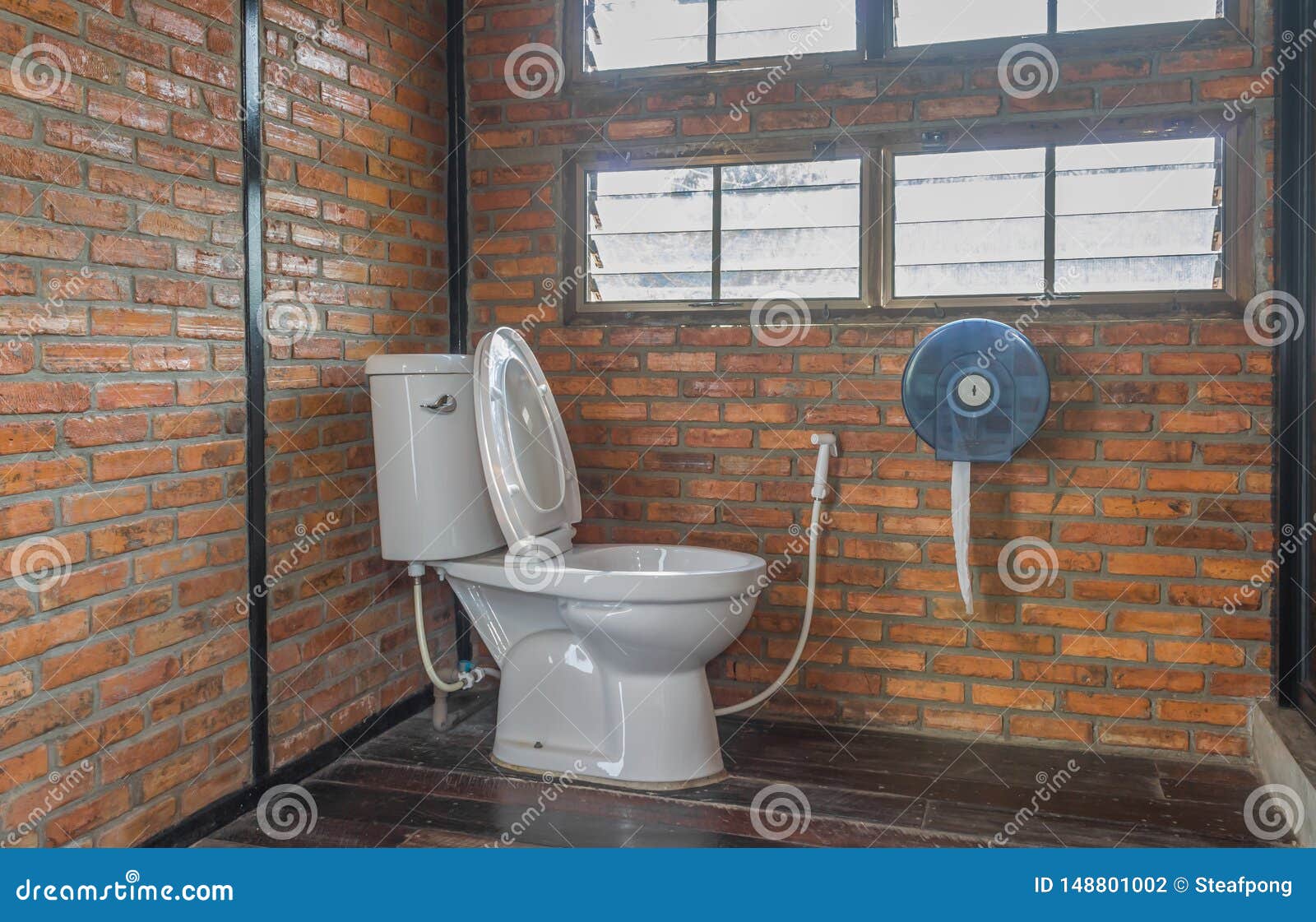 speler Inheems Agressief Flush Toilet in Country Loft Interior Design Room Stock Photo - Image of  glass, decor: 148801002