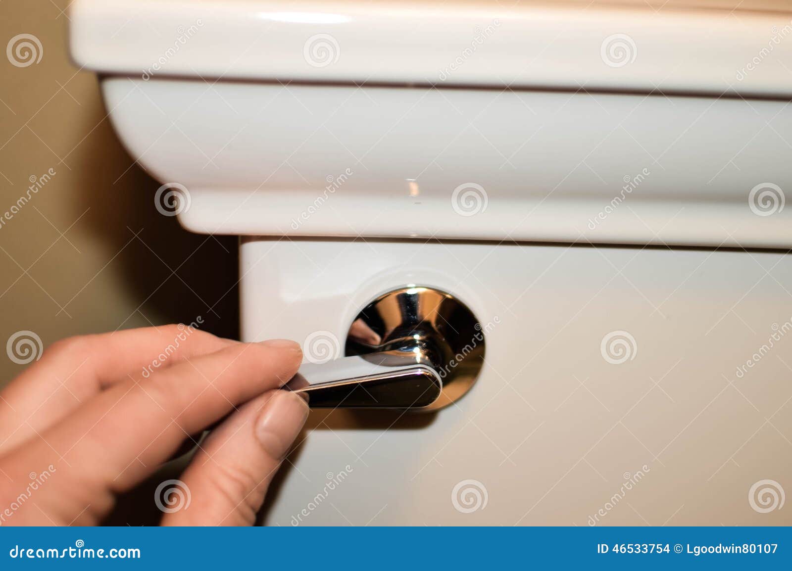 Flushing a toilet stock photo. Image of toliet, hand 46533754