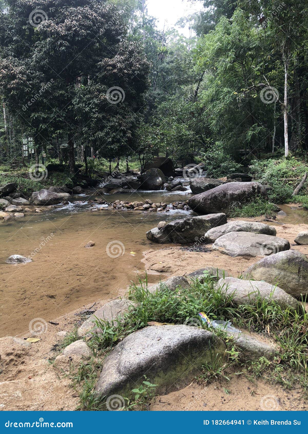 Taman negara endau rompin