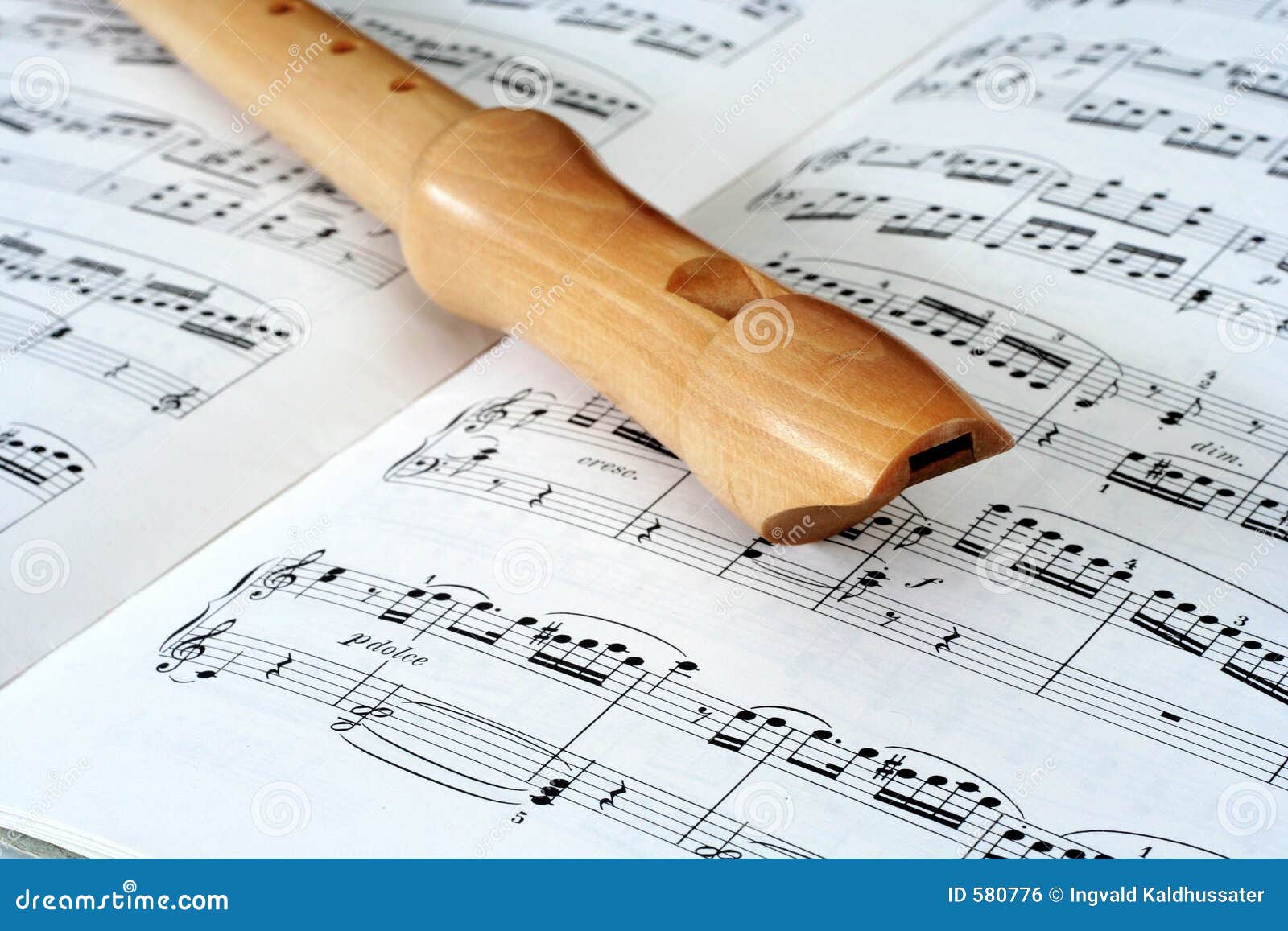 flute & notes