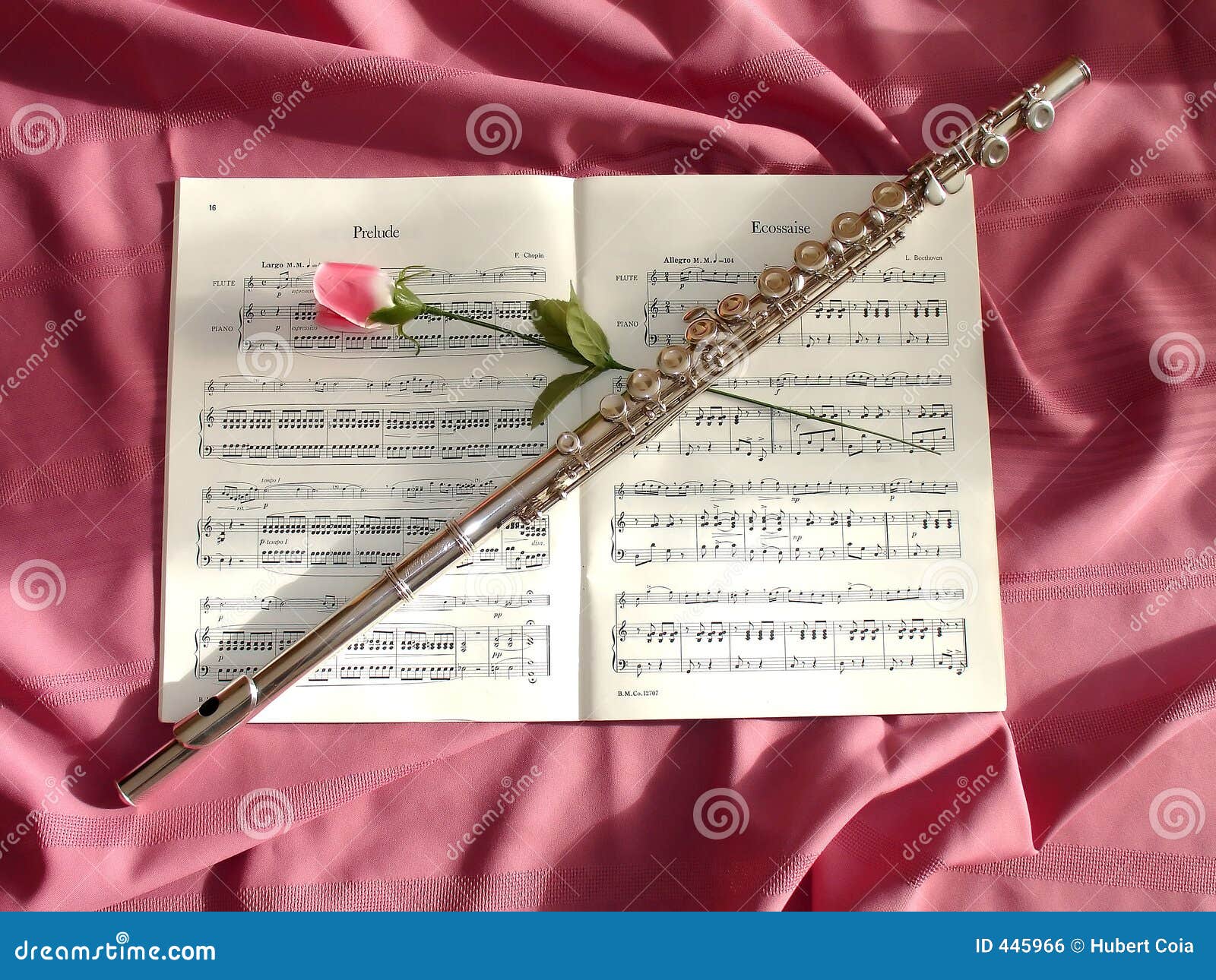 Flute and rose stock photo. Image of silver, partition 445966