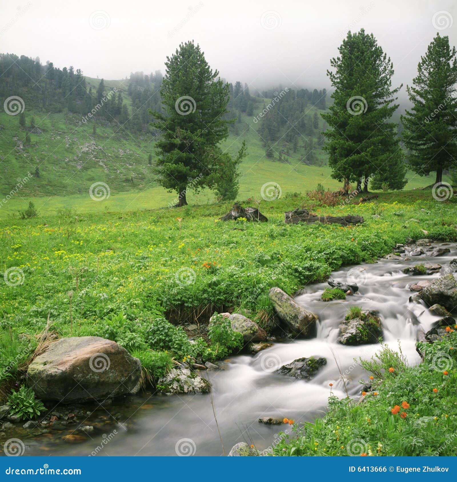 Fluxo Do Rio Nas Montanhas Altas Foto De Stock Imagem De Ambiental