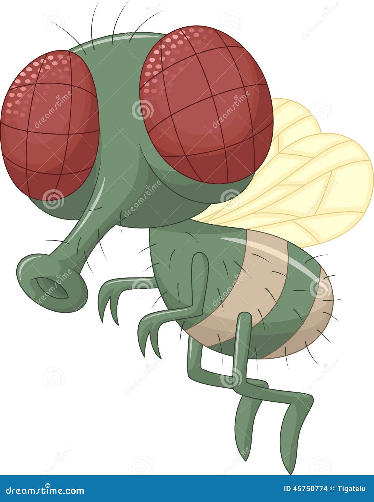 Fly cartoon stock vector. Illustration of nuisance, cartoon 45750774