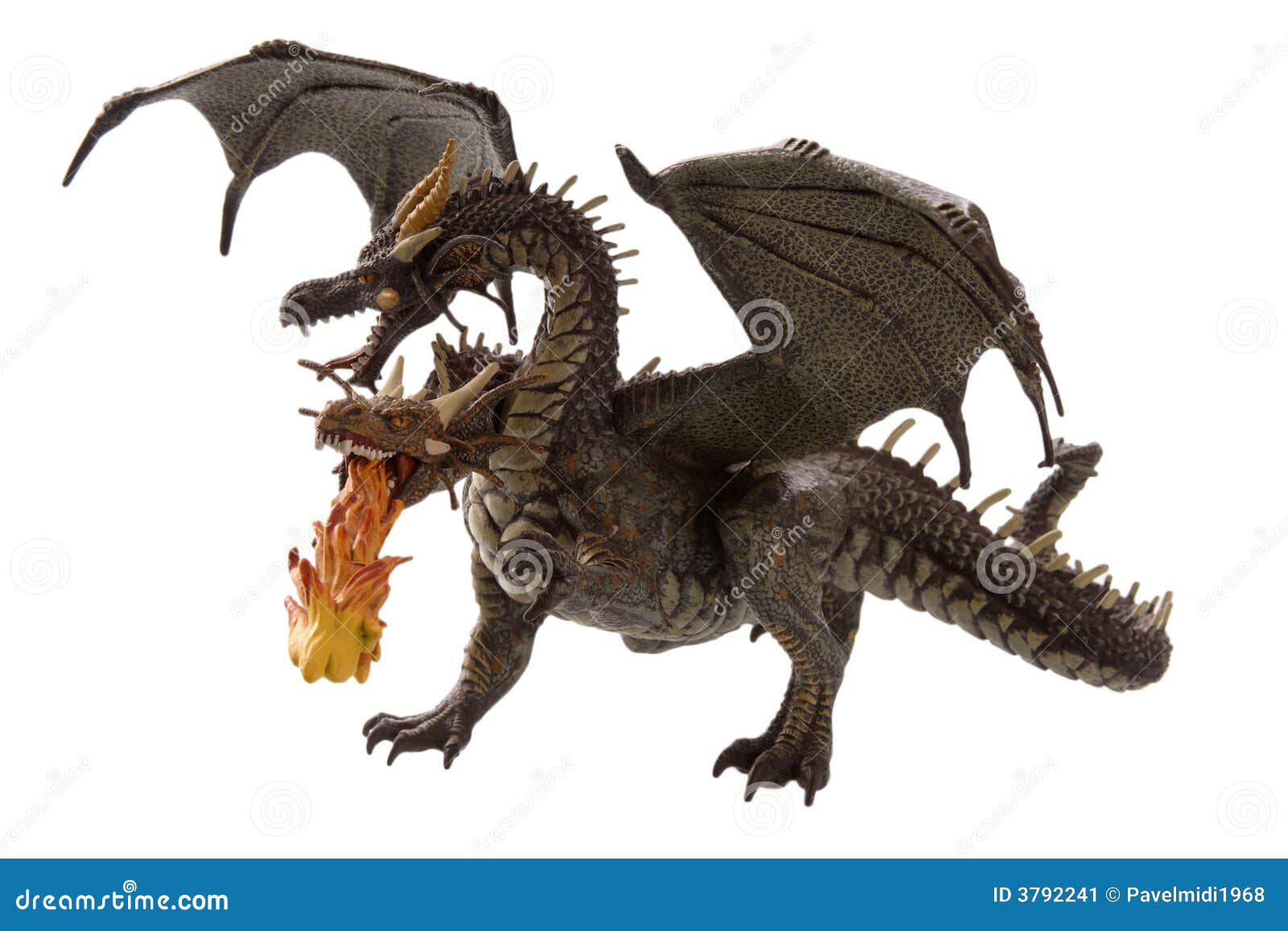 Where can I find dragon stock images?