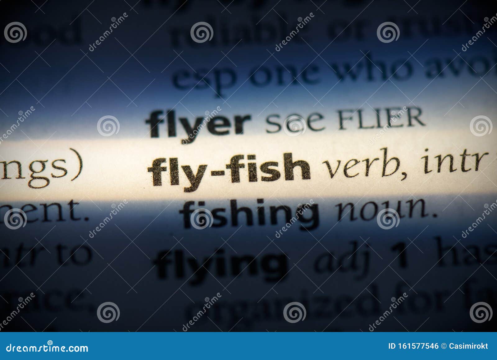 Flyfish stock photo. Image of minimal, close, printed 161577546