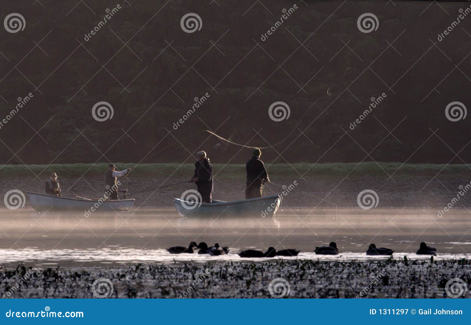 Fly fishing stock image. Image of morning, calm, pond 1311297