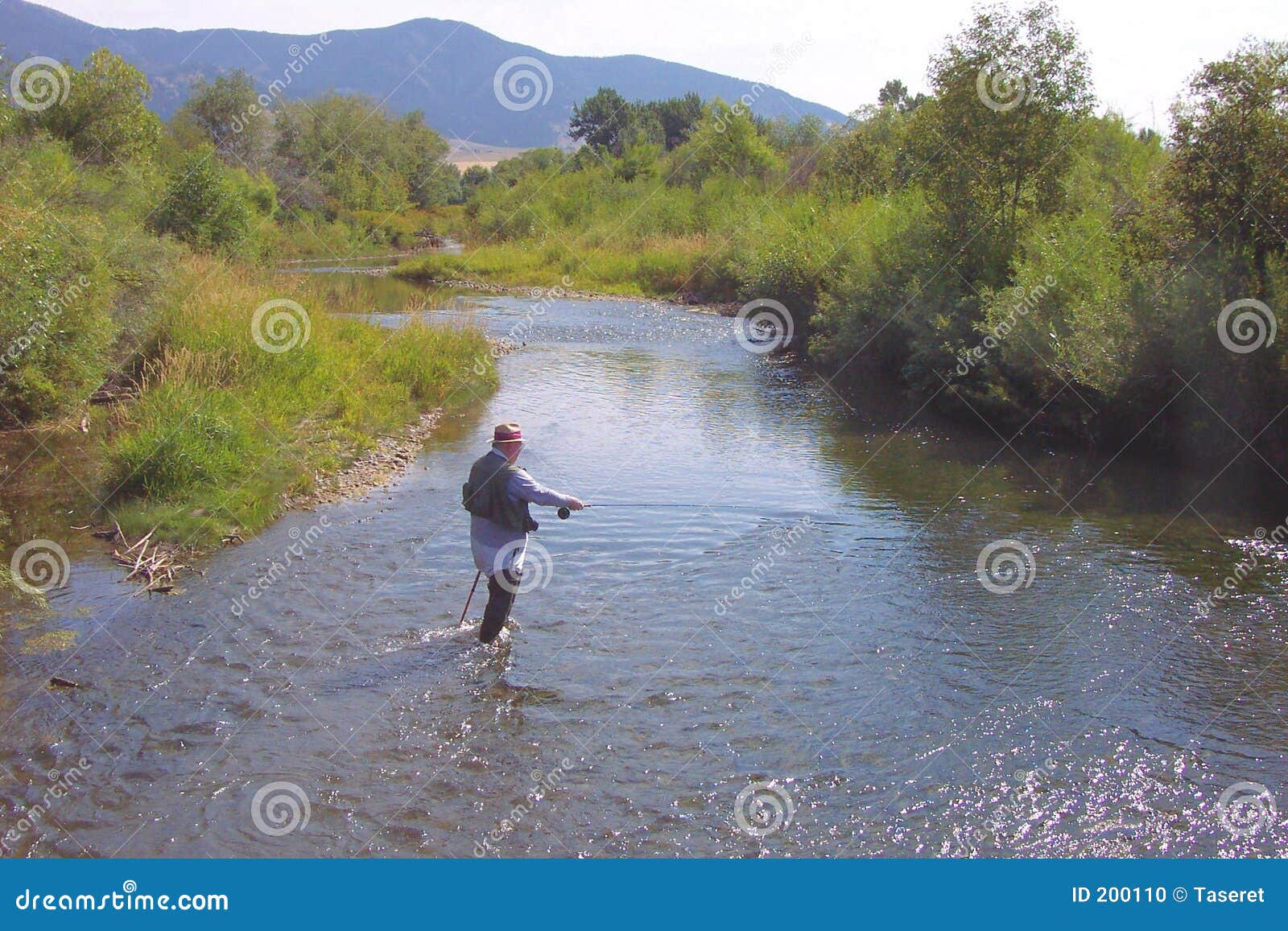Fly Fishing on the East Gallatin Stock Photo Image of fishing, water