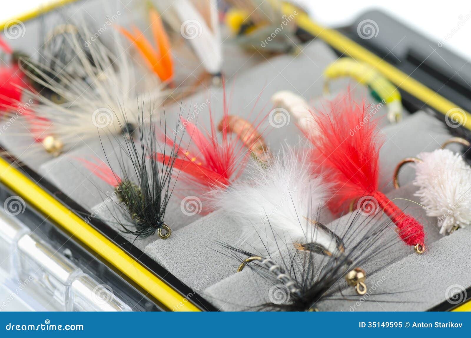 Caddis Flies Stock Photos - Free & Royalty-Free Stock Photos from Dreamstime