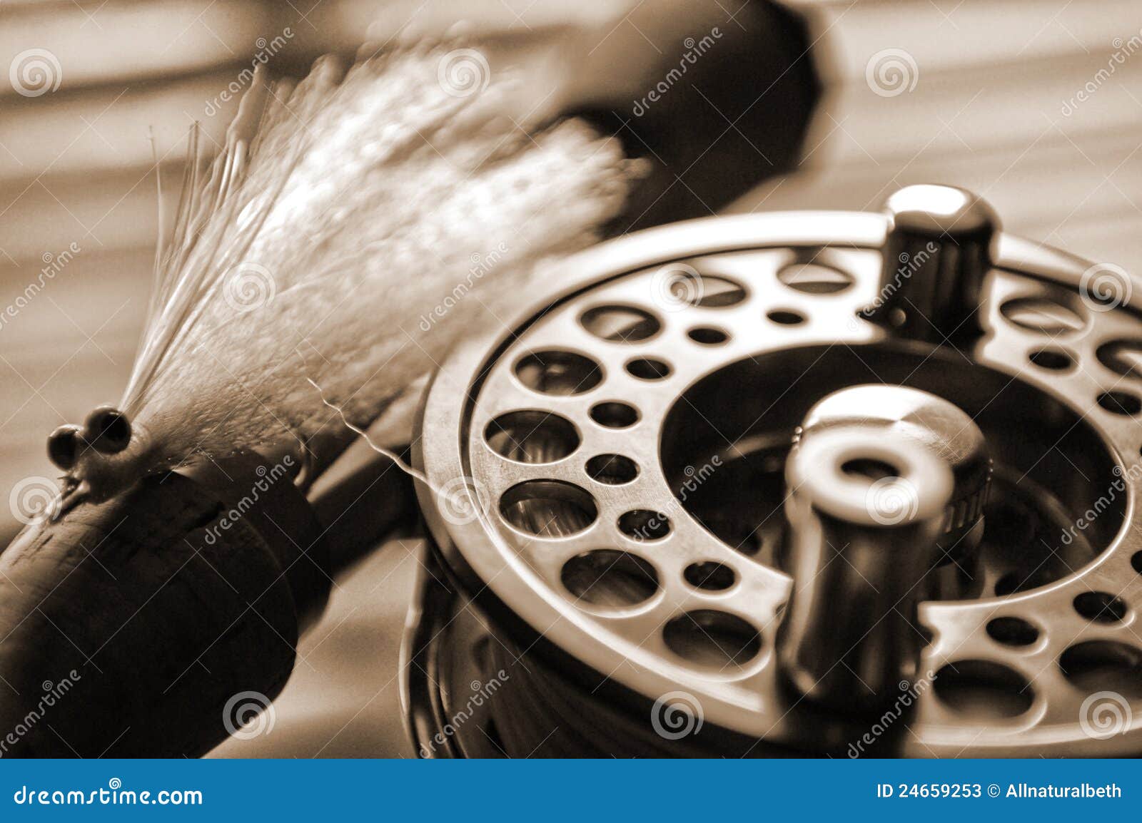 Fly Fishing Reel and Lure on Dock Stock Image Image of fish