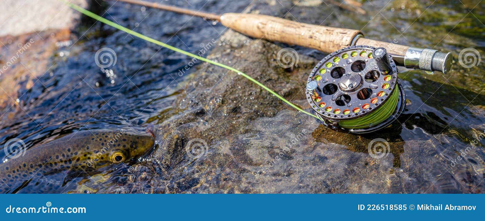 A Fly Fishing Rod and Reel on the River Bank. Trout Fishing. Stock Image -  Image of artificial, line: 226518585