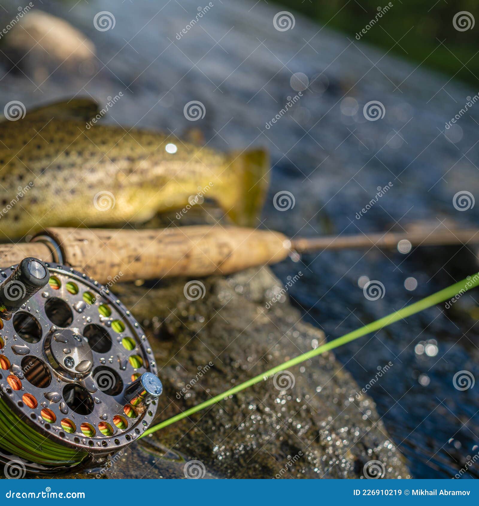 A Fly Fishing Rod and Reel on the River Bank. Trout Fishing. Stock