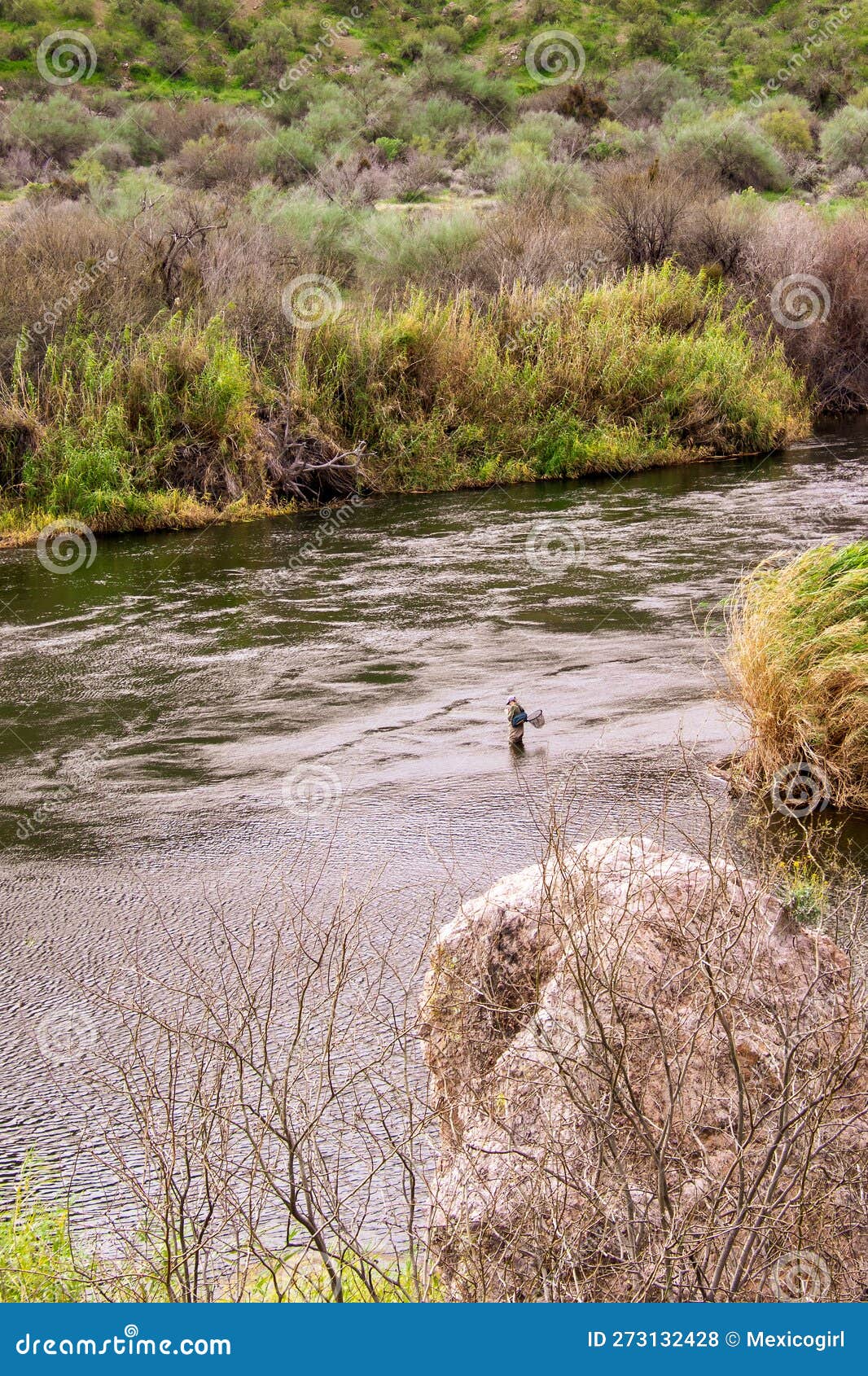Fly Fishing in the Salt River Editorial Stock Photo Image of