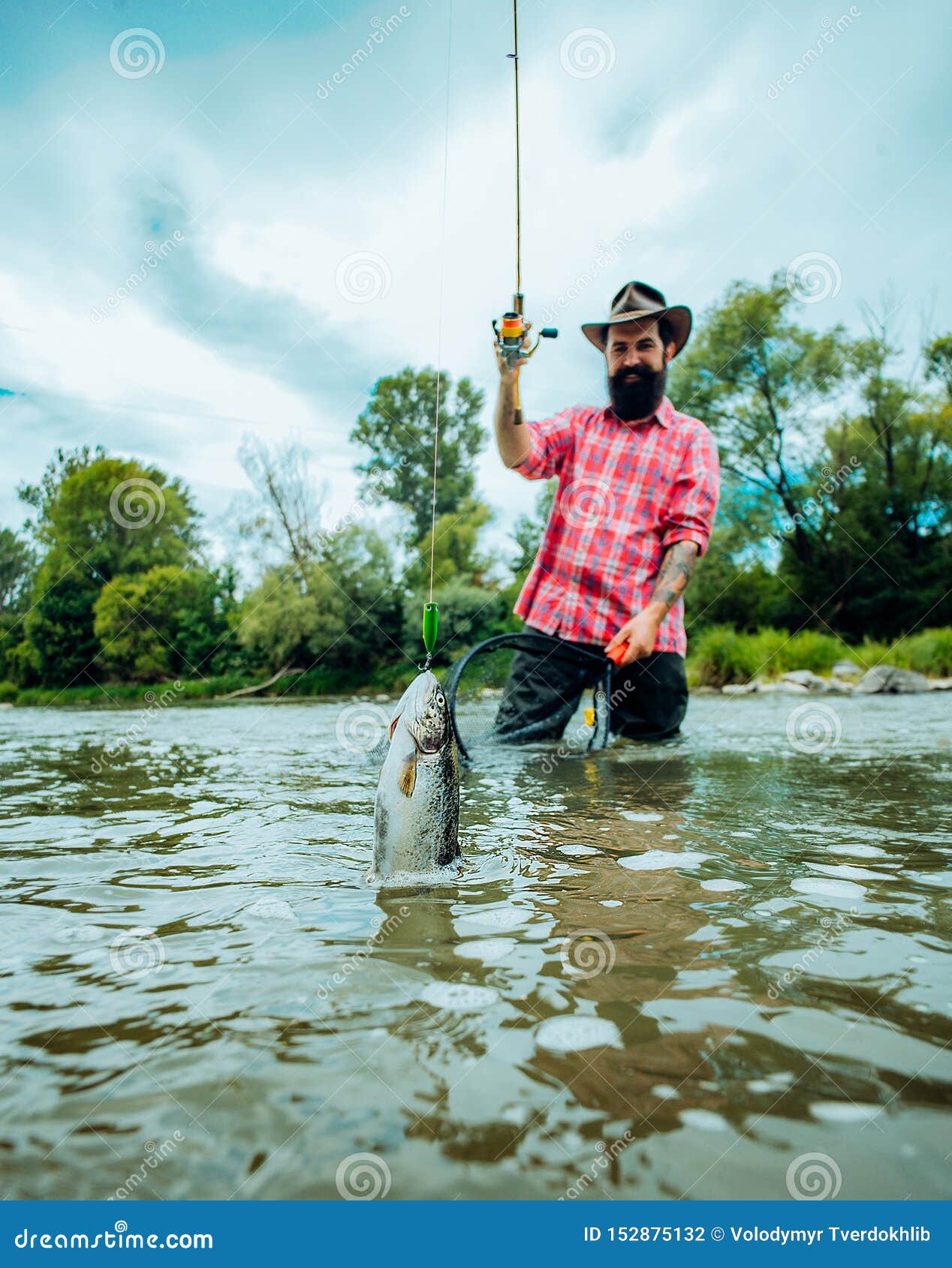 Fly Fishing for Trout. Fishing in River. Catches a Fish. Catching