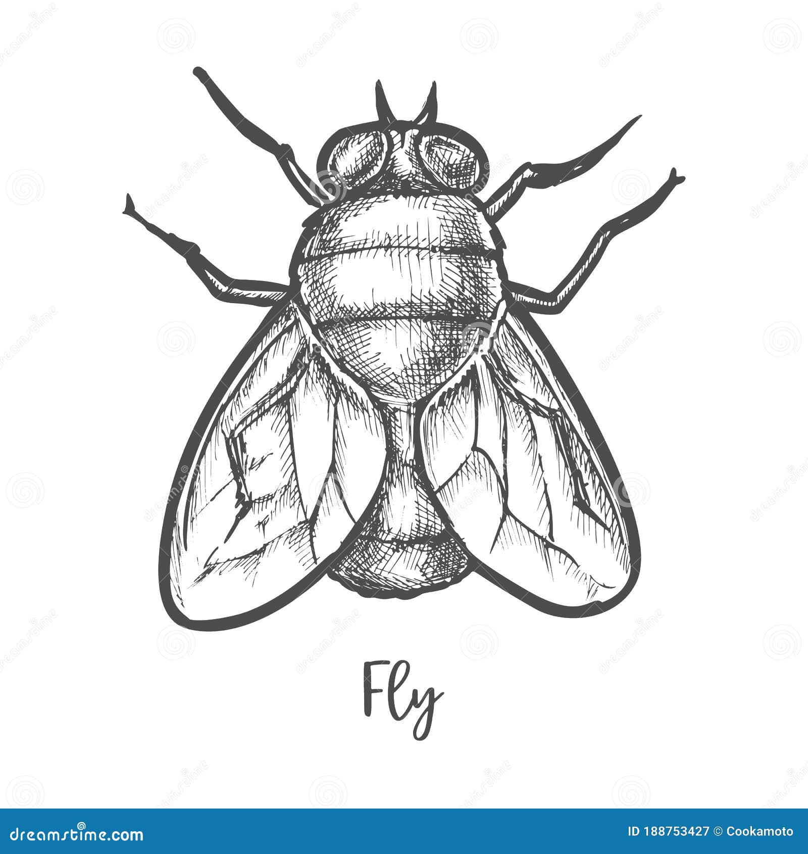 Cartoon Mosquito Sketch Drawing for Kindergarten