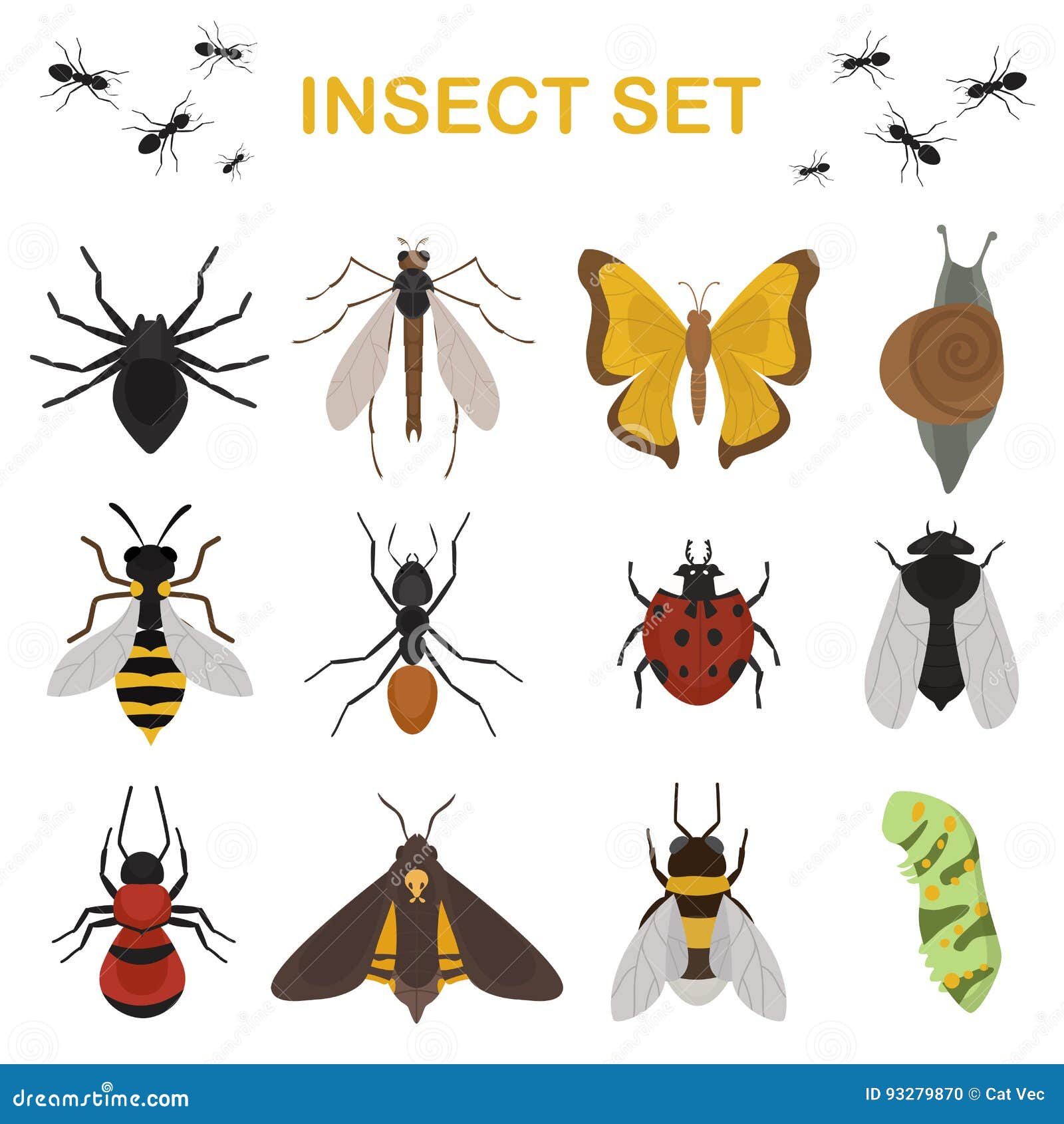fly insects wildlife entomology bug animal nature beetle biology buzz icon  