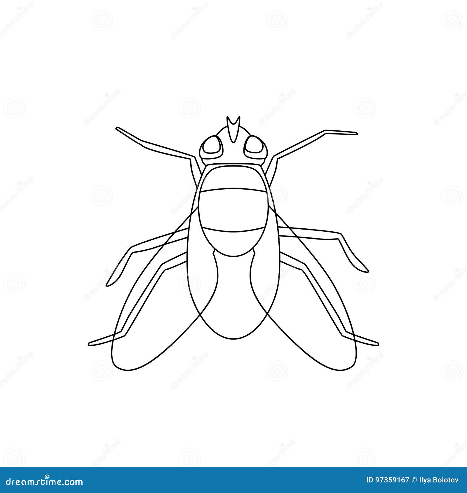 Fly Drawing Stock Illustrations – 188,642 Fly Drawing Stock Illustrations,  Vectors & Clipart - Dreamstime
