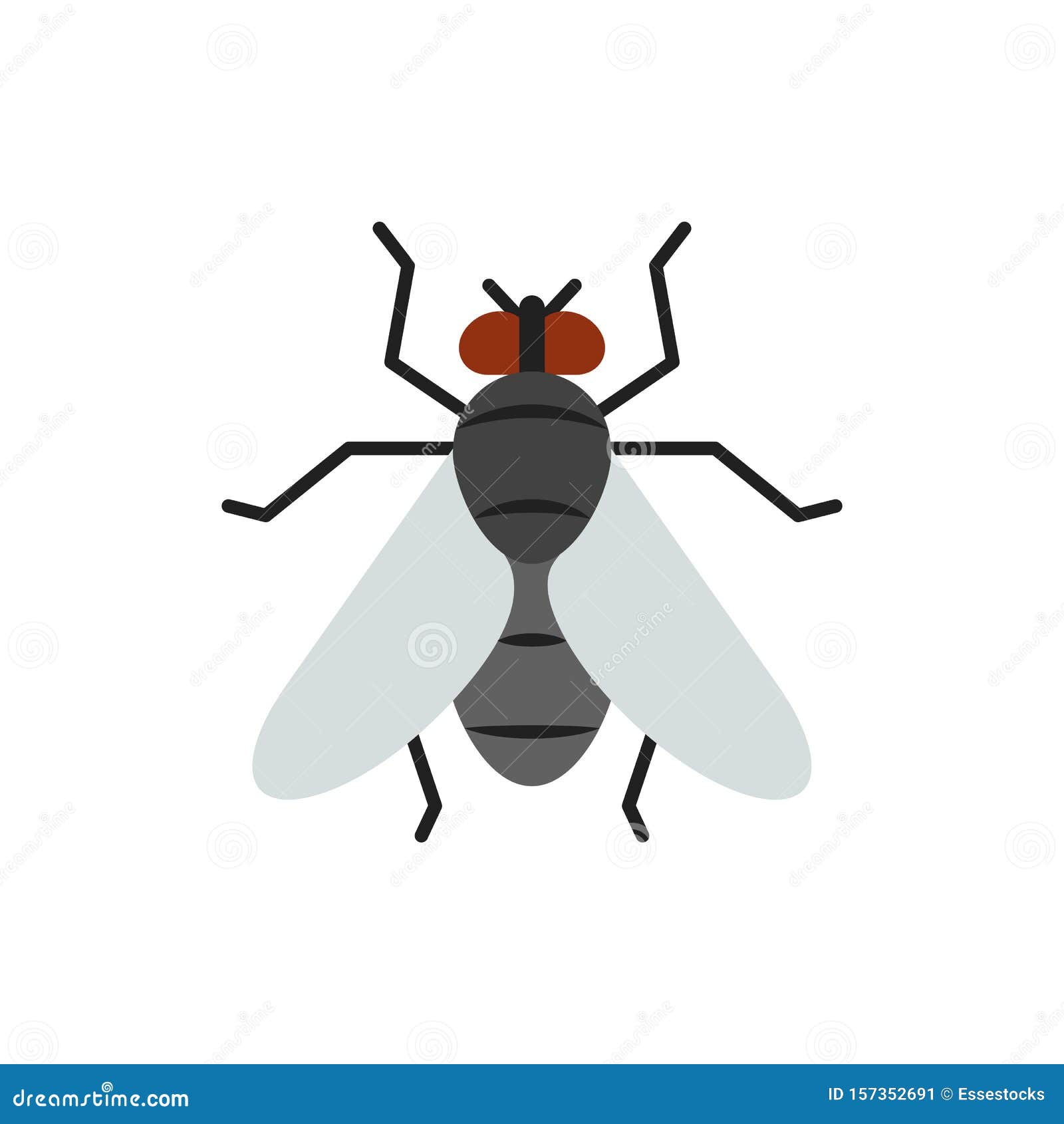 Fly Insect Housefly Single Flat Color Vector Icon Stock Vector